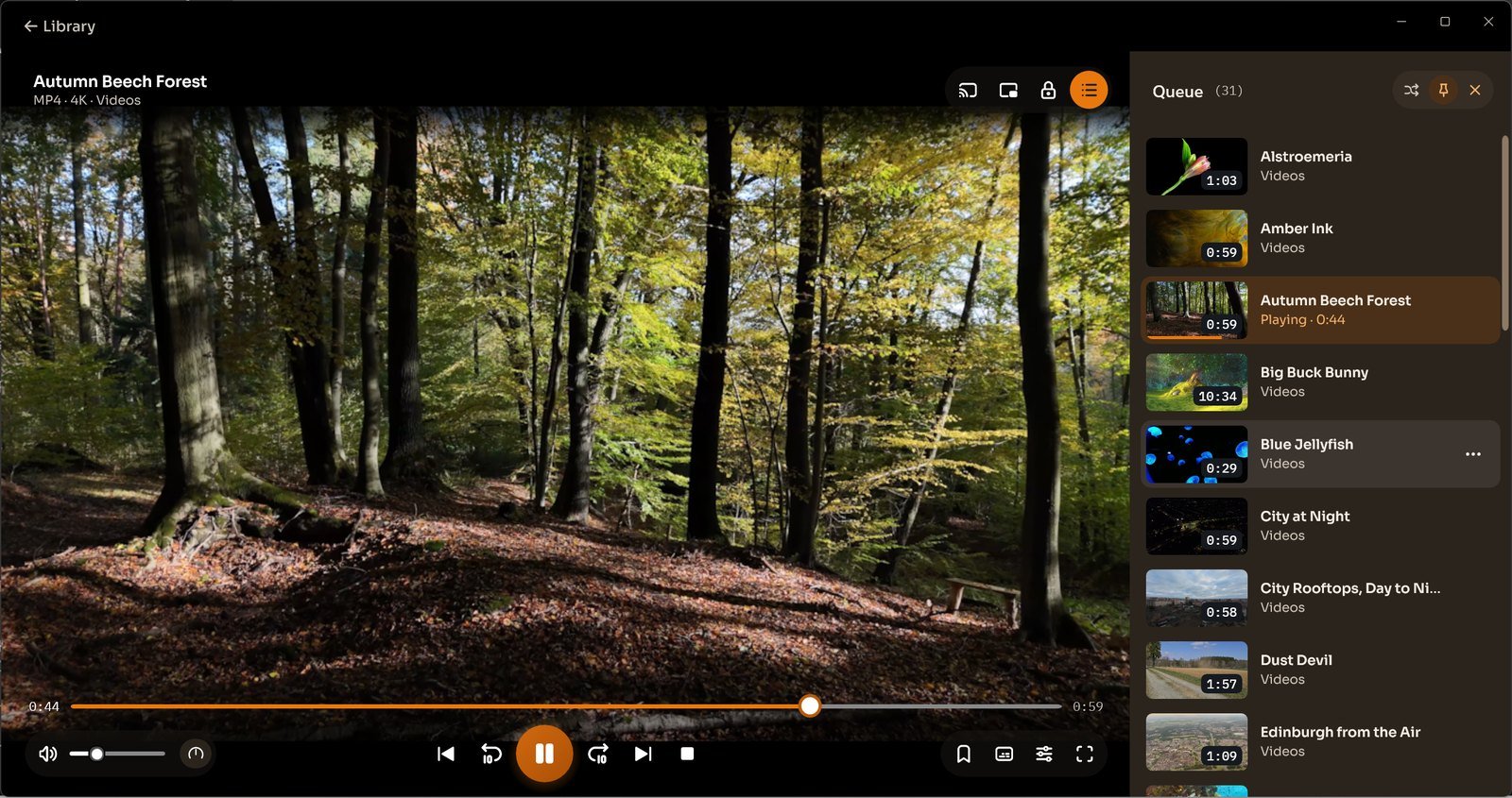 CnX's player playing a forest video, with the queue open on the right: the playing video highlighted and the next ones below it.