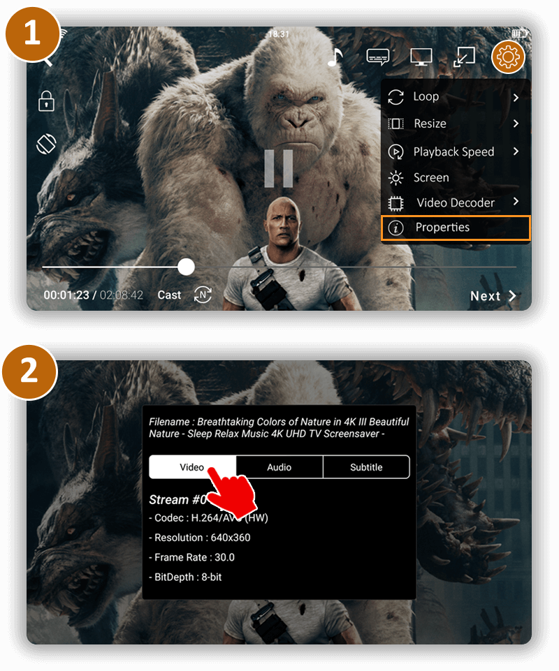 Video Codecs supported