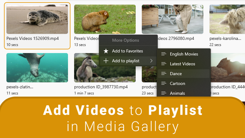 How to Add Videos to Playlist