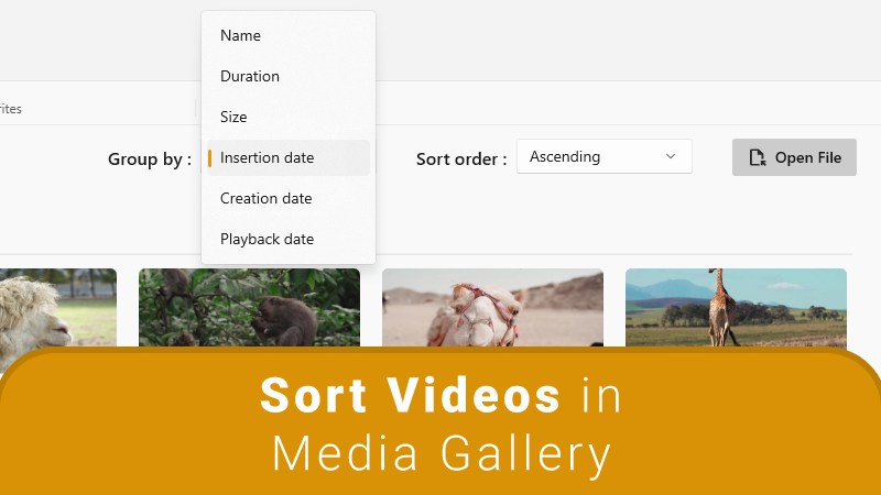 Sort Videos