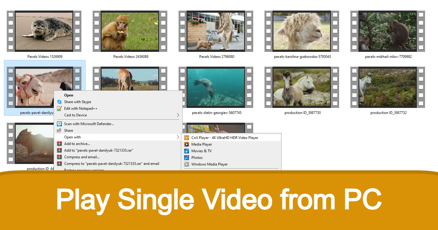 Play Single Video from PC
